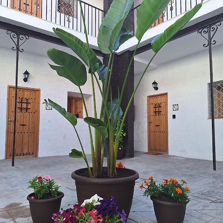 Suite San Mateos 15 Jerez de la Frontera Luaran gambar