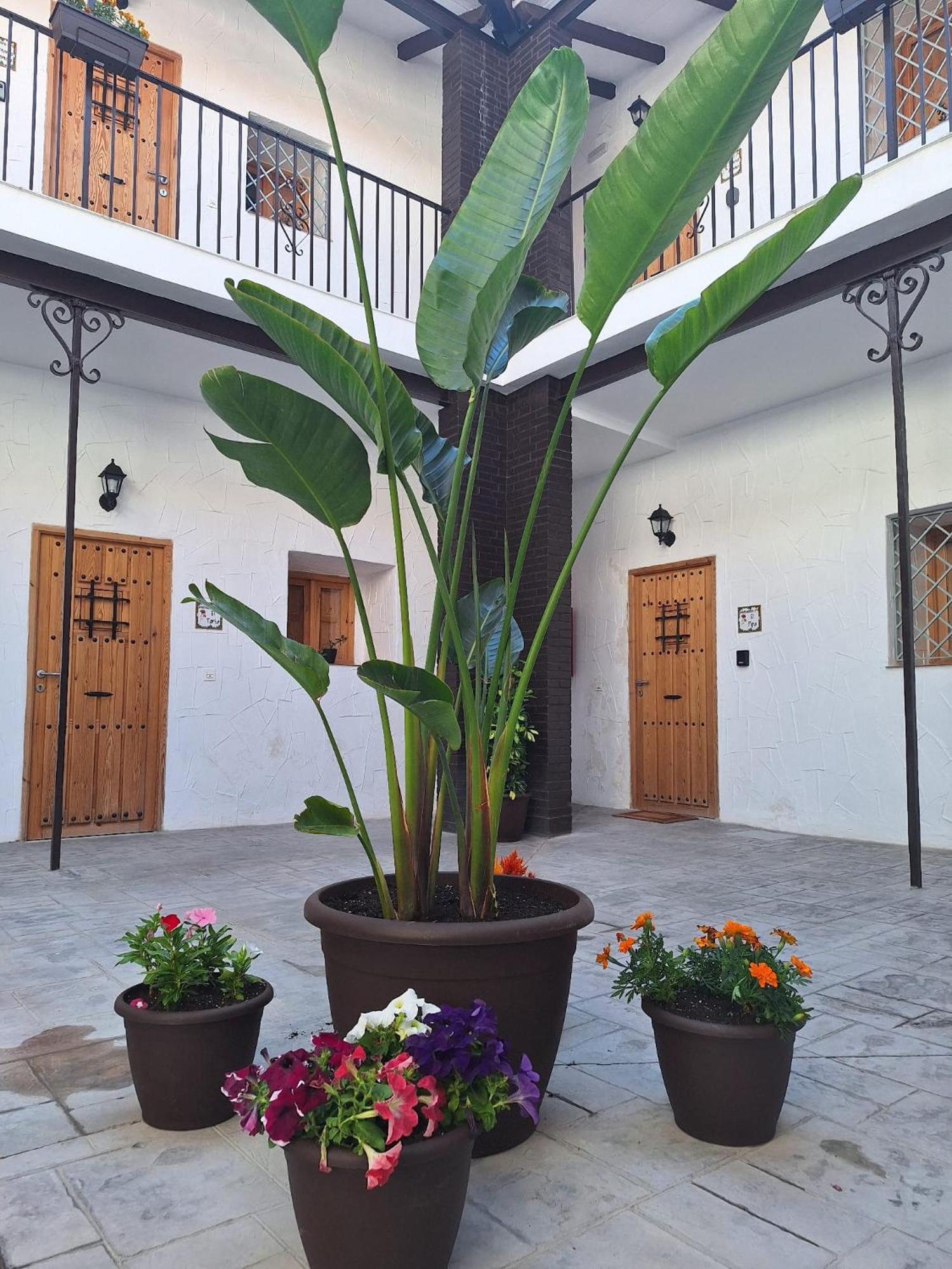 Suite San Mateos 15 Jerez de la Frontera Luaran gambar